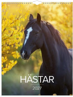 Väggkalender Burde 1776 Hästar 2027