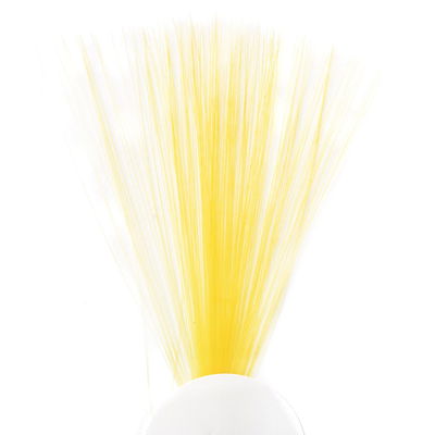 Tail Fibres Fibetts - Stjärtspröt till dagslända