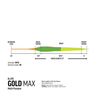 RIO Elite Gold MAX - WF - Flyt