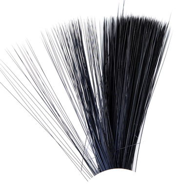 Tail Fibres Fibetts - Stjärtspröt till dagslända