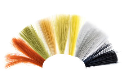 Tail Fibres Fibetts - Stjärtspröt till dagslända