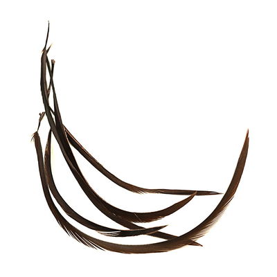 Goose Biot Strips