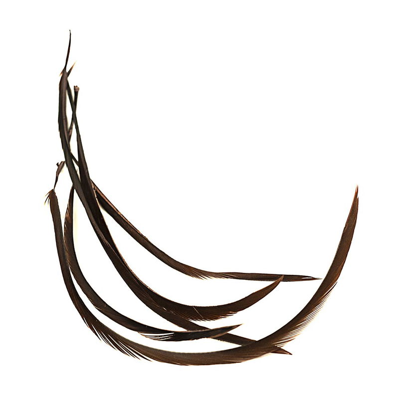 Goose Biot Strips