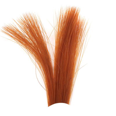 Tail Fibres Fibetts - Stjärtspröt till dagslända