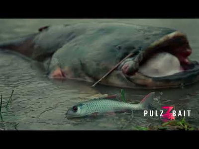 Pulz Bait Skinz 'Trout' - 3p - 15cm - Brown/RT/Char