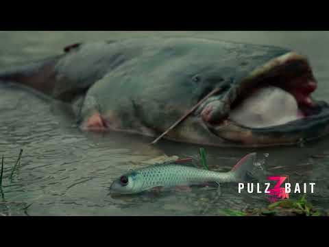 Pulz Bait Skinz 'Perch' - 2p - 15cm