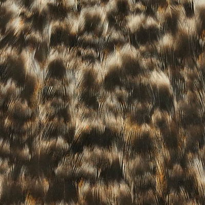 Whiting American Hen Cape