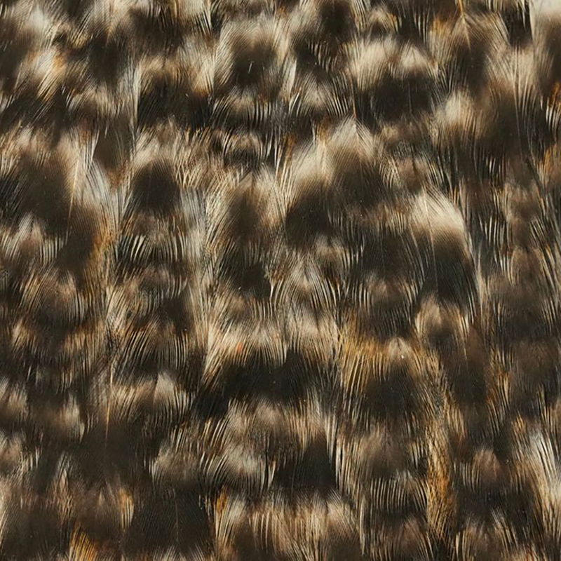 Whiting American Hen Cape