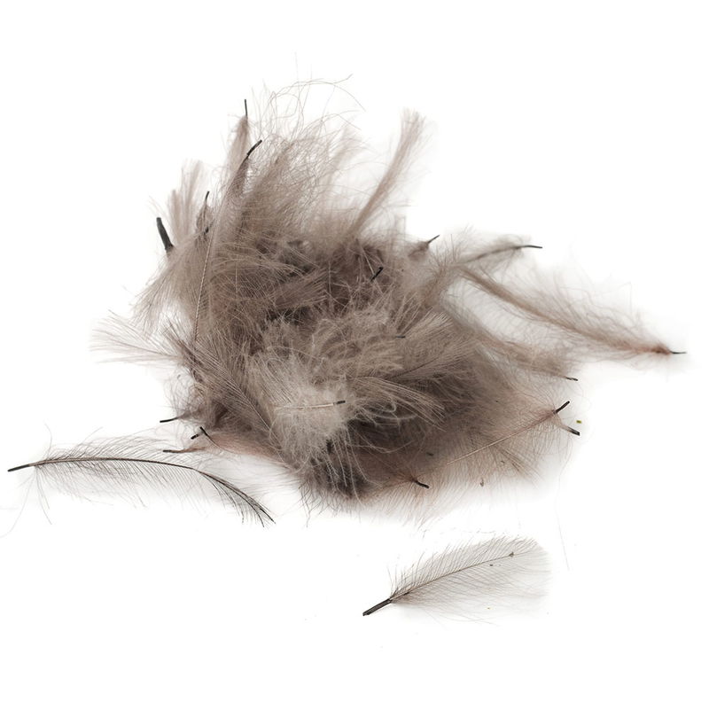 Premium Cul De Carnard (CDC)