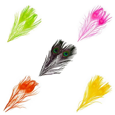 Frödin Peacock Eye Feathers