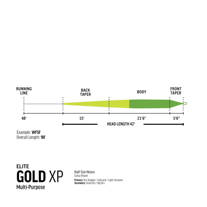 RIO Elite Gold XP - WF - Flyt