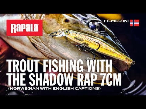 Rapala Shadow Rap - 7cm - 5g