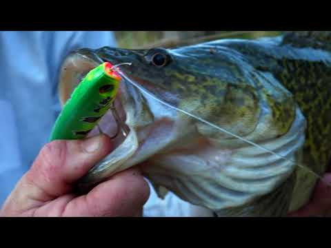 Rapala Precision Xtreme Pencil - 8,7cm - 12g