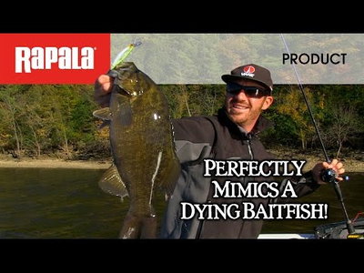Rapala Shadow Rap Deep - 11cm - 13g