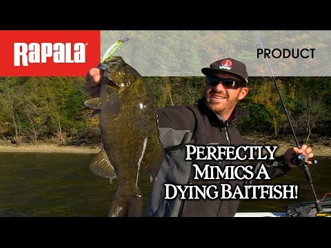 Rapala Shadow Rap Deep - 11cm - 13g