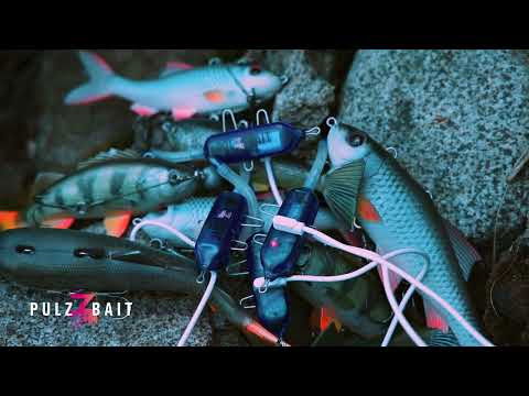 Pulz Bait Engine