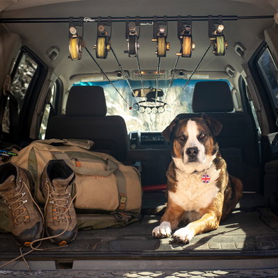 Trout Mount Rod Transport System - Standard