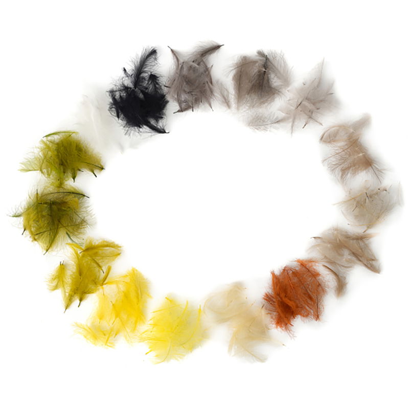 Premium Cul De Carnard (CDC)