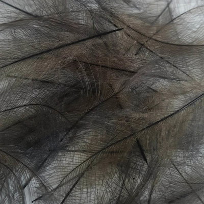 Petitjean Cul De Carnard (CDC) - 1g