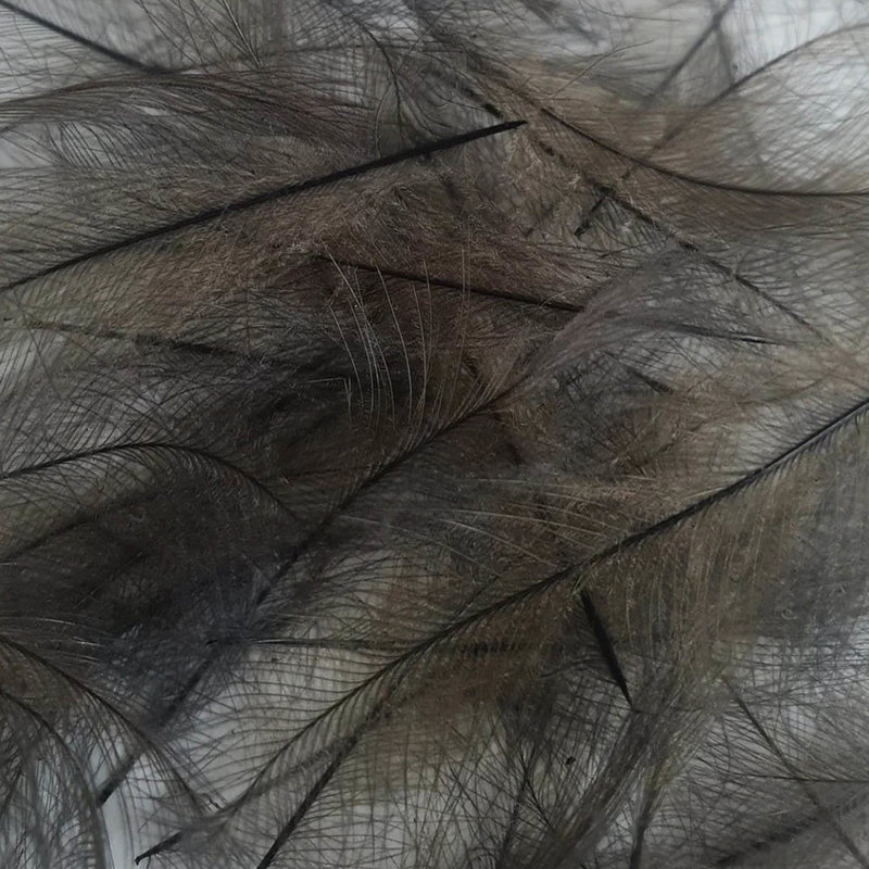 Petitjean Cul De Carnard (CDC) - 1g