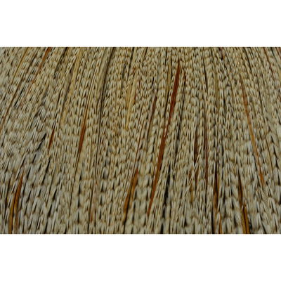 Whiting - Commercial Cape - Unique Variant