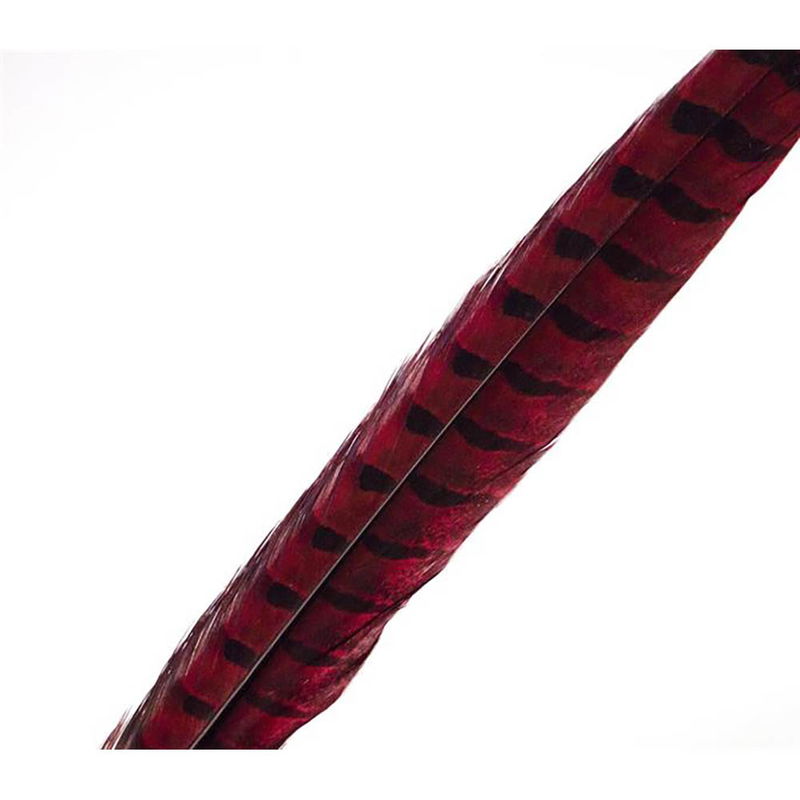 Fasantupp 'Rooster Middle tail' - Stjärtfjäder - Färgade