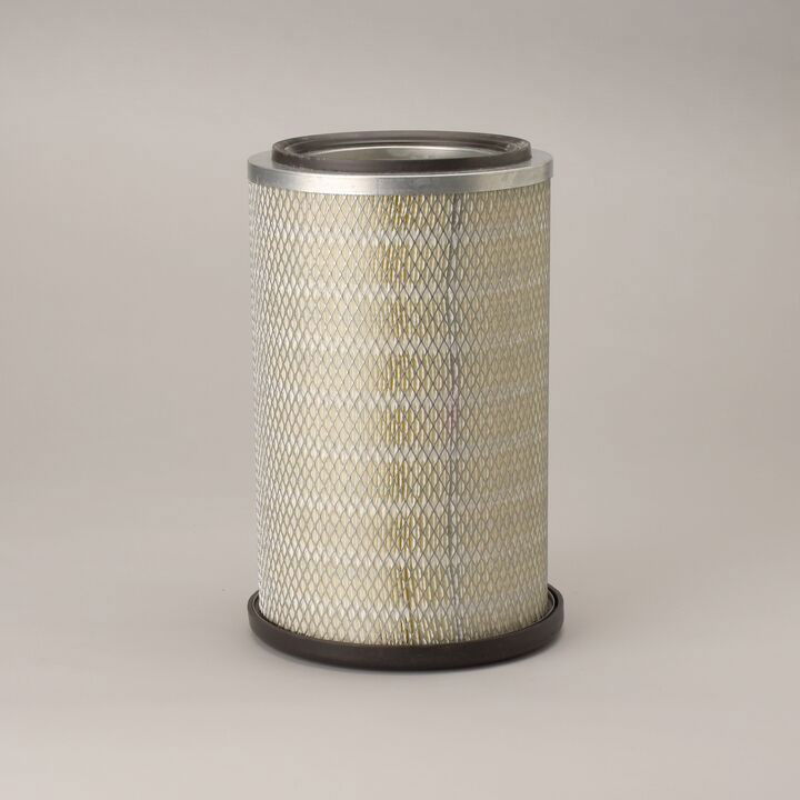 Luftfilter (Y) P789077