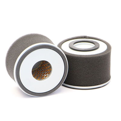 Luftfilter SL163/1