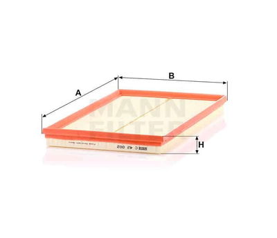 Luftfilter (Y) C42002 Luftfilter (Y) C42002