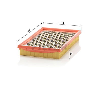 Luftfilter (Y) C2552/2 Luftfilter (Y) C2552/2