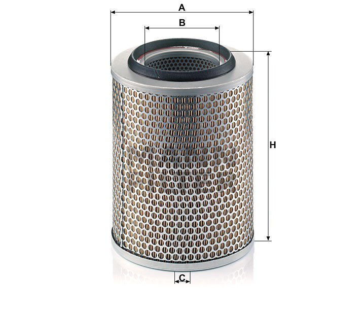Luftfilter C20356