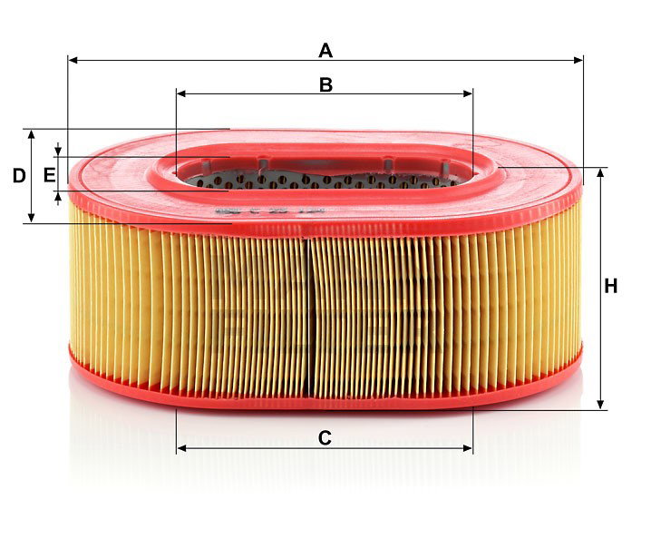 Luftfilter C25124