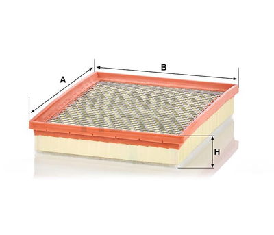 Luftfilter (Y) C30170/1 Luftfilter (Y) C30170/1