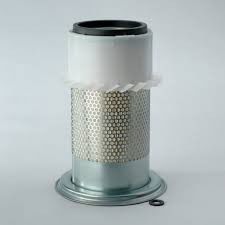 Luftfilter (Y) P812800