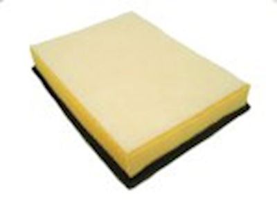 Luftfilter PA7899/1