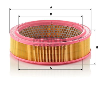 Luftfilter (Y) C2443/1 Luftfilter (Y) C2443/1