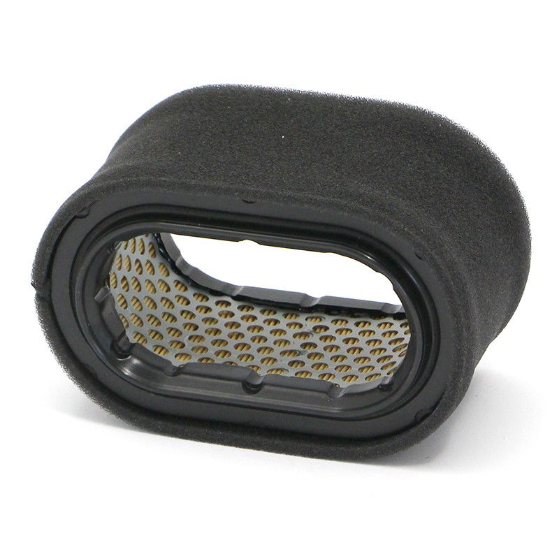 Luftfilter SL8120/1