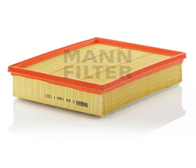 Luftfilter (Y) C29198/1 Luftfilter (Y) C29198/1