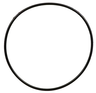 LX Whirlpool LP/WP: O-ring till pumphus