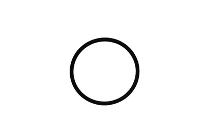 REMOVE Astral Victoria Plus Pump, Diffuser o-ring, 56.7 x 3.5 mm