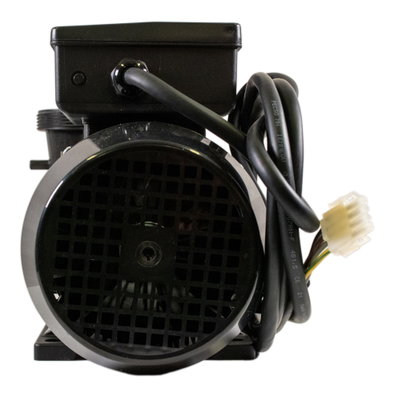 Balboa Niagara Pump, 2.0hk, 2 växlar