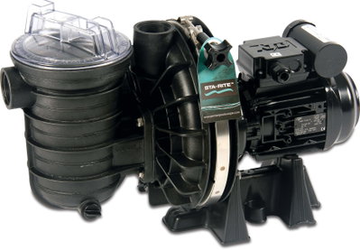 Sta-Rite Poolpump, P-STR 1.5 hk 1-fas 230V
