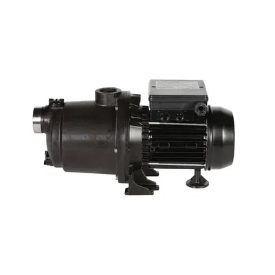 Sta-Rite EVO Boost-Rite Boost Pump, 1.0hk / 0.75kW, 1-fas 240V