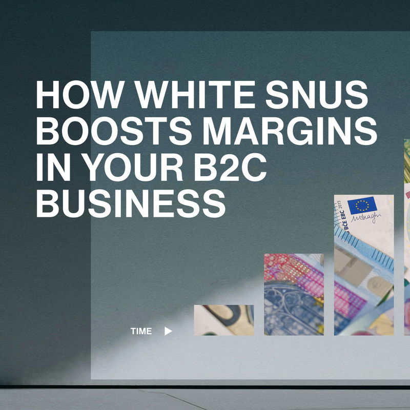How White Snus Boosts Margins in Your B2C Business