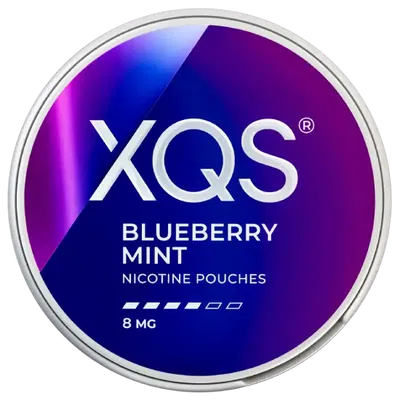 XQS Blueberry Mint Strong