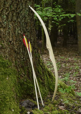 Barnens bågskytteset Little Archer