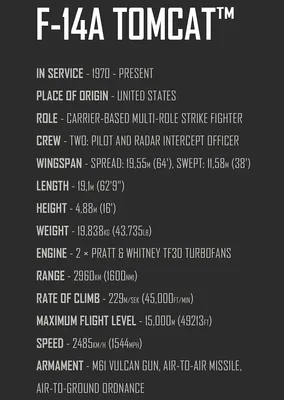 COBI-5920 Top Gun Maverick Grumman F-14 Tomcat™