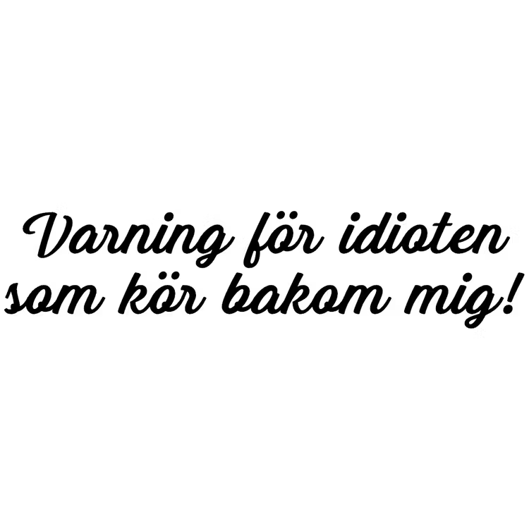 Dekal - Varning för idioten