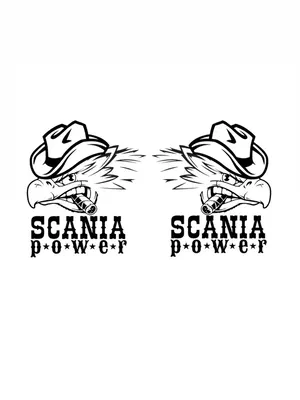 Dekal Scania Power 2-pack