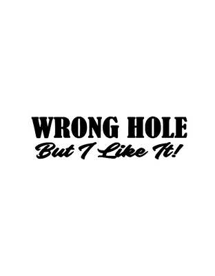 Dekal WRONG HOLE But I Like It!